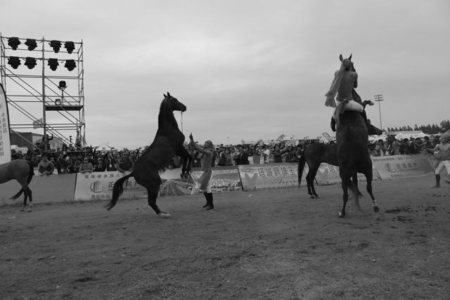 圖片關(guān)鍵詞 圖片關(guān)鍵詞