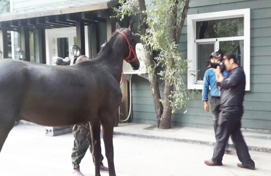 圖片關鍵詞 圖片關鍵詞