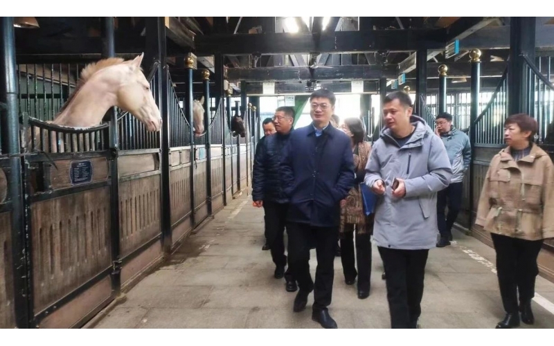 高雷副廳長在野馬集團(tuán)調(diào)研時表示，要通過科技助力，精準(zhǔn)解決“卡脖子”問題