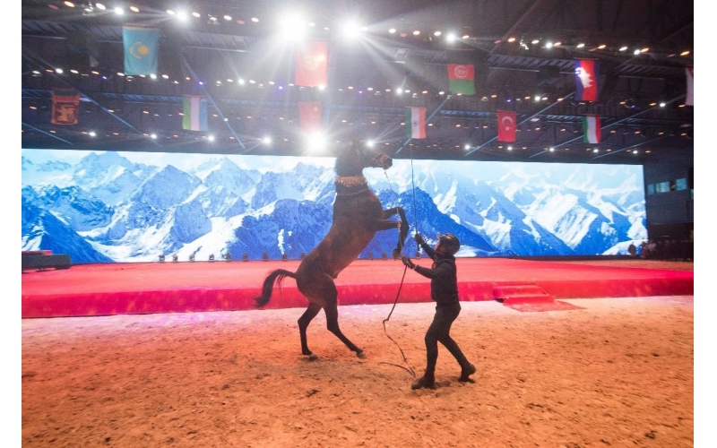 住馬酒店、吃馬肉腸、喝馬奶粉、品馬奶酒--